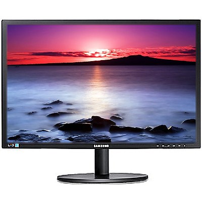 Samsung SyncMaster S22B420 22 Inch Widescreen LCD Monitor
