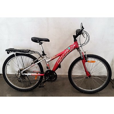 Raleigh Freedom 18 Speed Girls Bike