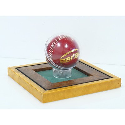 Mounted Aerial Cricket Ball