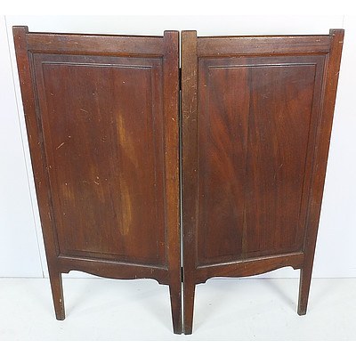 Edwardian Fire Screen