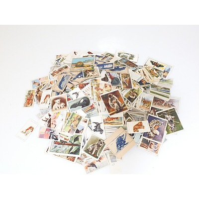 Large Collection of Animal Themed Cigarette Cards