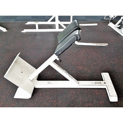 Magnum 45 Degree Back Extension - Commercial Grade