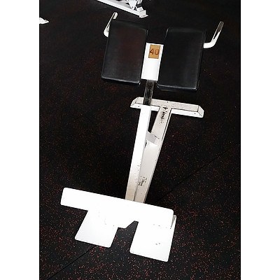 Magnum 45 Degree Back Extension - Commercial Grade