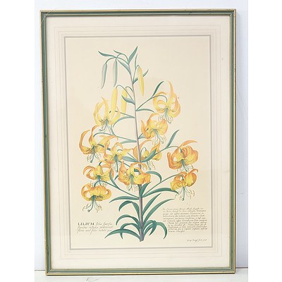 Three Various Framed Pictures