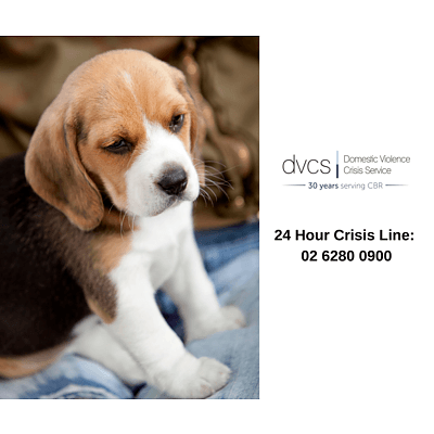 PET COVER MODEL – 2019 DVCS Pet Calendar- Your Pet's Chance to Feature!