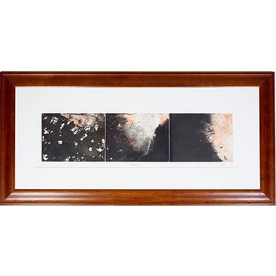 Judy Watson (b. 1959) Partland, Triptych Tinted Etching Edition 23/60