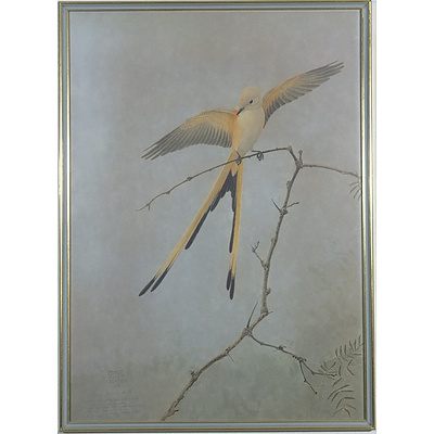 George Miksch Sutton (1898-1982) Scissor-Tailed Flycatcher Limited Edition Print