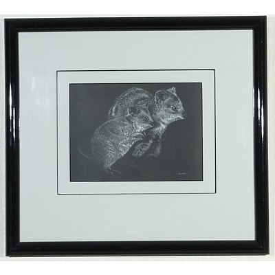 Liz Jones Quokkas Scraperboard Drawing