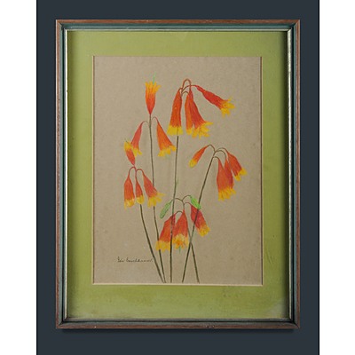 Australian School (2): Ida BRUCHHAUSER (1916-2003) & Artist Unknown Pastel