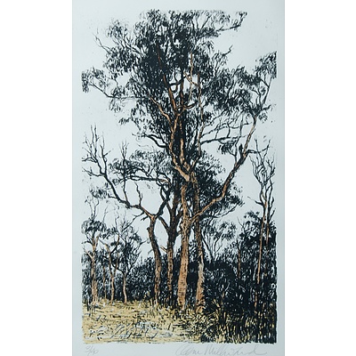 MILLWARD, Clem (b.1929): 'Bloodwoods', Hand Coloured Lithograph 3/40. 