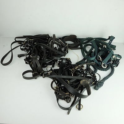 Wintec Horse Saddle, Bridles and Other Accessories