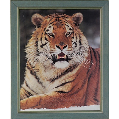 Two Offset Prints and One Photograph of Sunset Scene Over The Pier