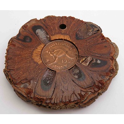 Australian Penny in Banksia Stand