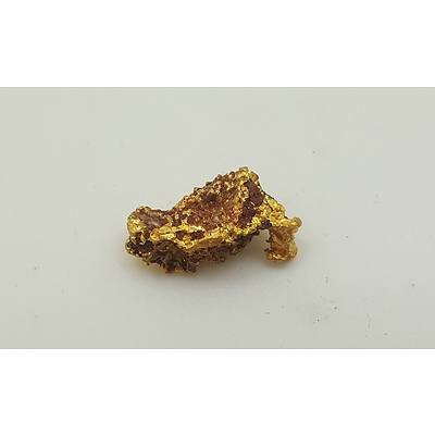 Genuine Australian Gold Nugget (Golden Triangle, Victoria - Prospecting Find
