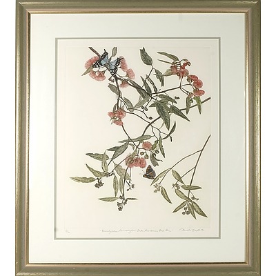 GRIFFITH, Pamela (b.1943) 'Eucalyptus Leucoxylon - South Australian Blue Gum' Coloured Etching 31/60