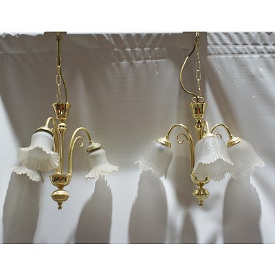 Pair of Floral Cut Glass Shade Electroliers