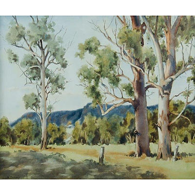 TOOVEY, N, 'Giant Gums Kangaroo Valley', watercolour