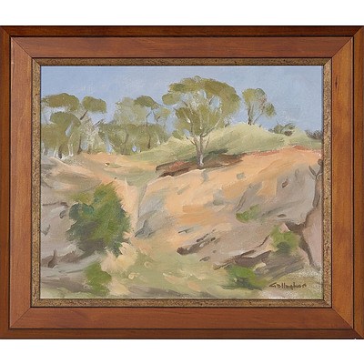 Don Gallagher Binalong Oil on Board