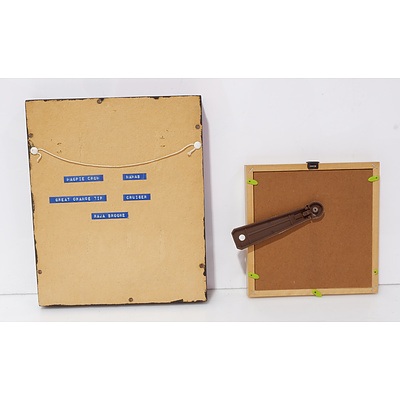 Framed Mounted Butterflies