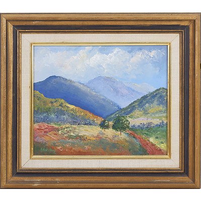 Shirley Maunder (1930-2005) Spring in the Naas Valley Snowy Mountains 1988, Oil on Board