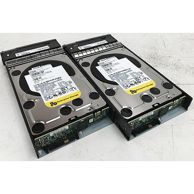 Western Digital WD2003FYYS-05T9B0 2TB SAS Hard Drives - Lot of 2