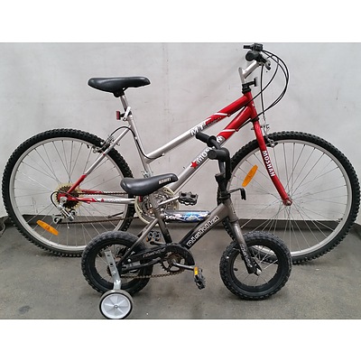 Adult and Child Push Bikes - Lot of Two