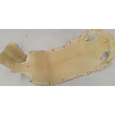 Convection Oven, Kitchenware, Vases, Ornaments - Lot of 10