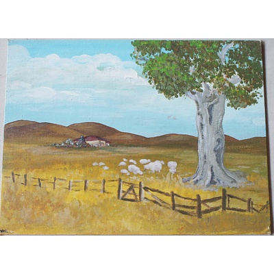 Group of Oil on Canvas Boards