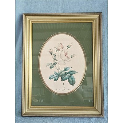 Set of 2 framed floral rose prints by Maureen Robers: Queen Elizabeth and All Gold