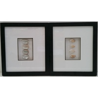 Framed Sea Shell Wall Hangings - Lot of Two