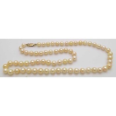 Vintage Pearl necklace
