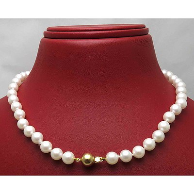 Akoya Cultured Pearls - 14ct Clasp