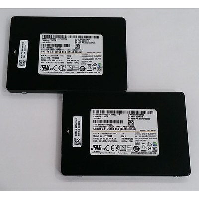 Samsung (MZ-7TY2560) 2.5" 256GB SATA Solid State Drive - Lot of Two