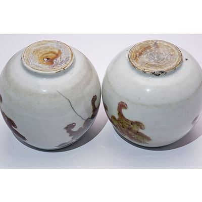 Rare Pair of Chinese Water Pots Decorated with Buddhist Lions in Underglaze Copper Red, Probably Kangxi Period, 18th Century