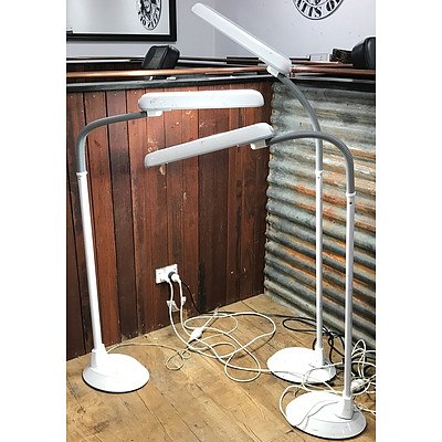 Three LED Floor Lamps