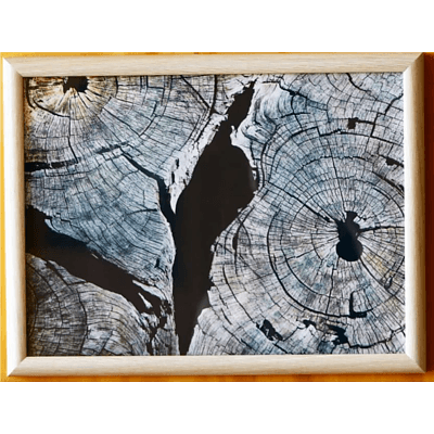 Hollow Wisdom Artwork