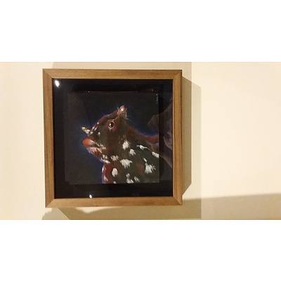 Painting: "Eastern Quoll" by Emily Birks, original oil pastel