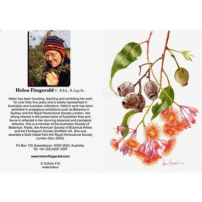 Pack of 12 illustrated cards of native plants