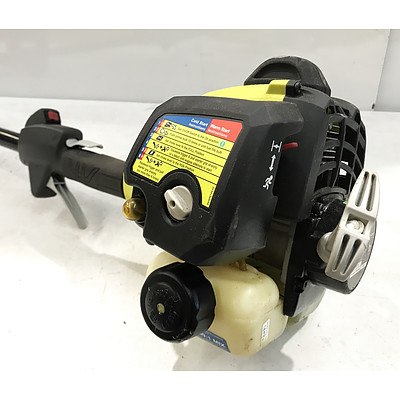 Ryobi RBC254FSDSN 25.4cc 2 Stroke Petrol Brush Cutter