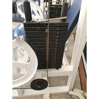 Calgym Seated Leg Curl & Leg Extension Strengthening Machines