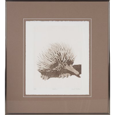 David Preston (1948 -) Echidna, Limited Edition Etching, 19/20