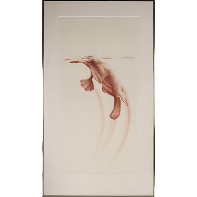 Peter Hickey (1942 -) Taronga Platypus 1984, Artist Proof Etching