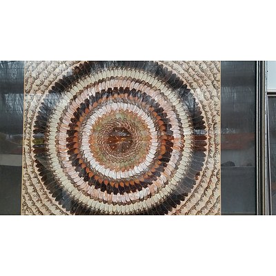 Butterfly Wing Artworks - Lot of Two