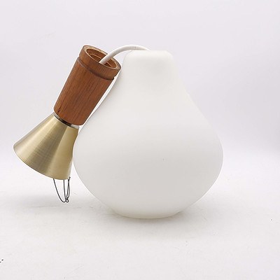 Retro Cased Glass Light Fitting