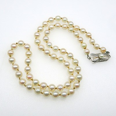 Mikimoto Type Short Strand of Pearls