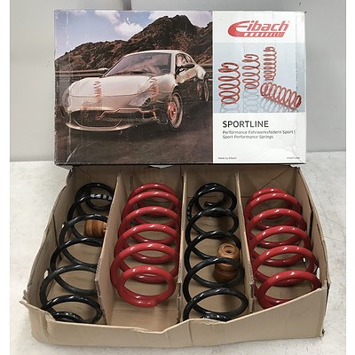 Eibach Audi A4 Performance Springs
