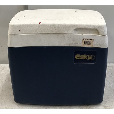 Nylex 27L Esky