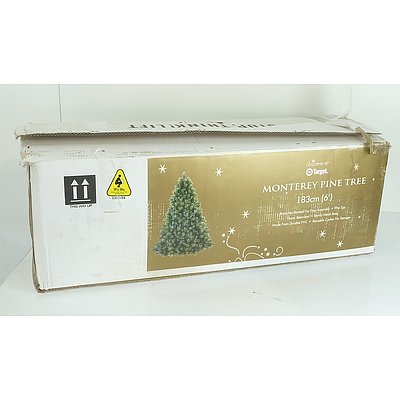 Monterey Pine Christmas Tree