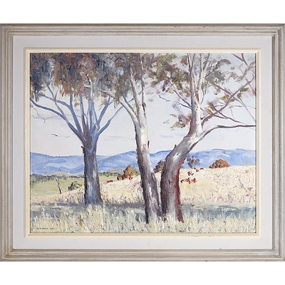 G.D. Davis (Working c.1966) Trees in Paddock 1963, Oil on Board