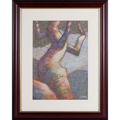 Ian Sharpe (1949-) Within Cooee Kangaroo Valley 3 2011, Oil on Board